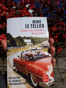 Toutes les familles heureuses, Hervé Le Tellier